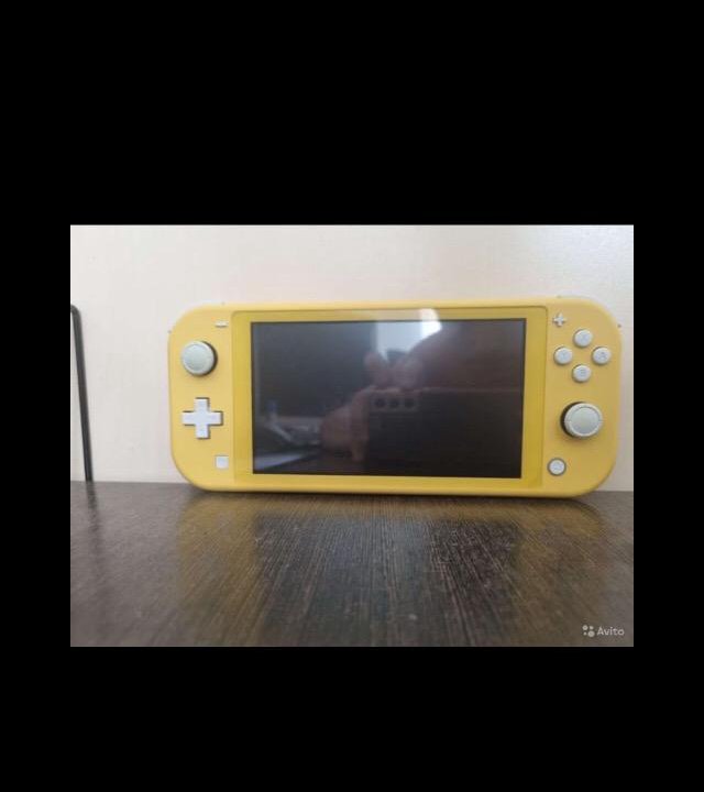 Nintendo switch lite