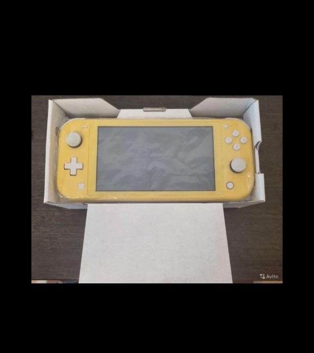 Nintendo switch lite