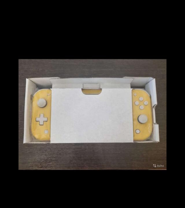 Nintendo switch lite