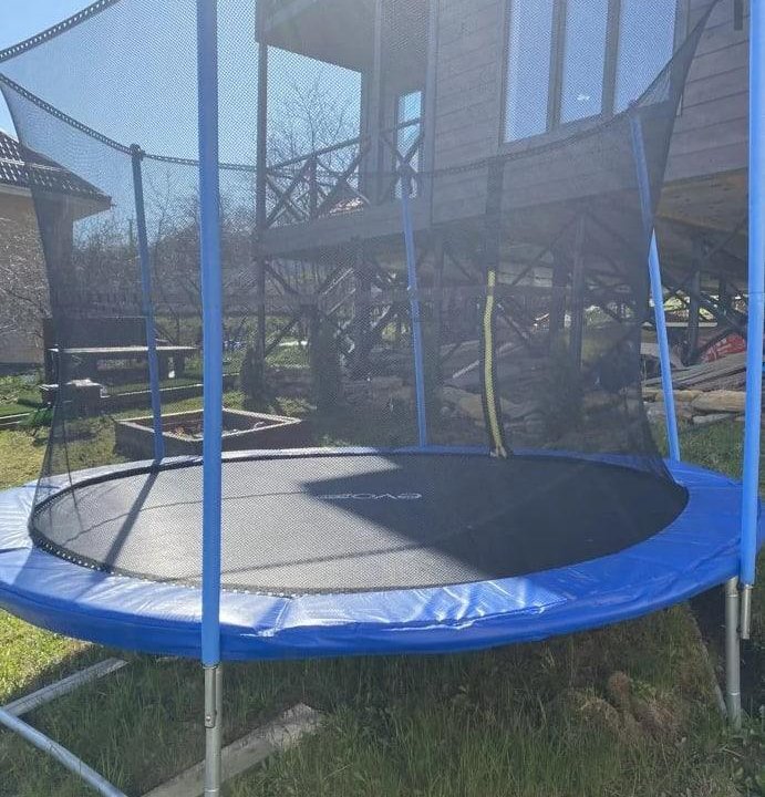 ветка вербы 2