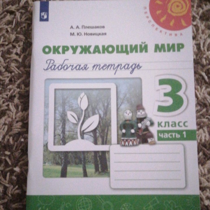 Рабочие тетради ученика 3 класса школа 40 Ростов-н