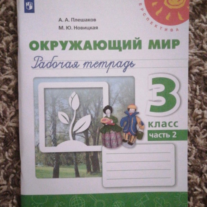 Рабочие тетради ученика 3 класса школа 40 Ростов-н