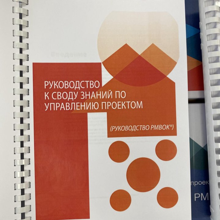 Руководство PMBok 7 (2021) на русском языке