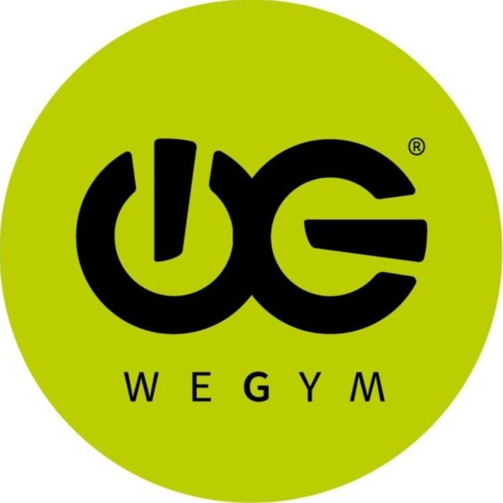 Гостевой визит wegym Кутузовский