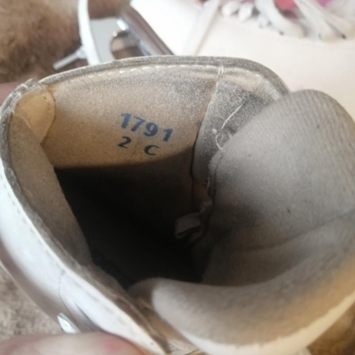 Коньки Jackson Artiste