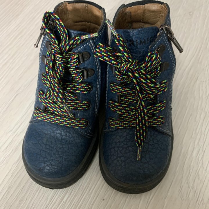 Ботинки демисезонные