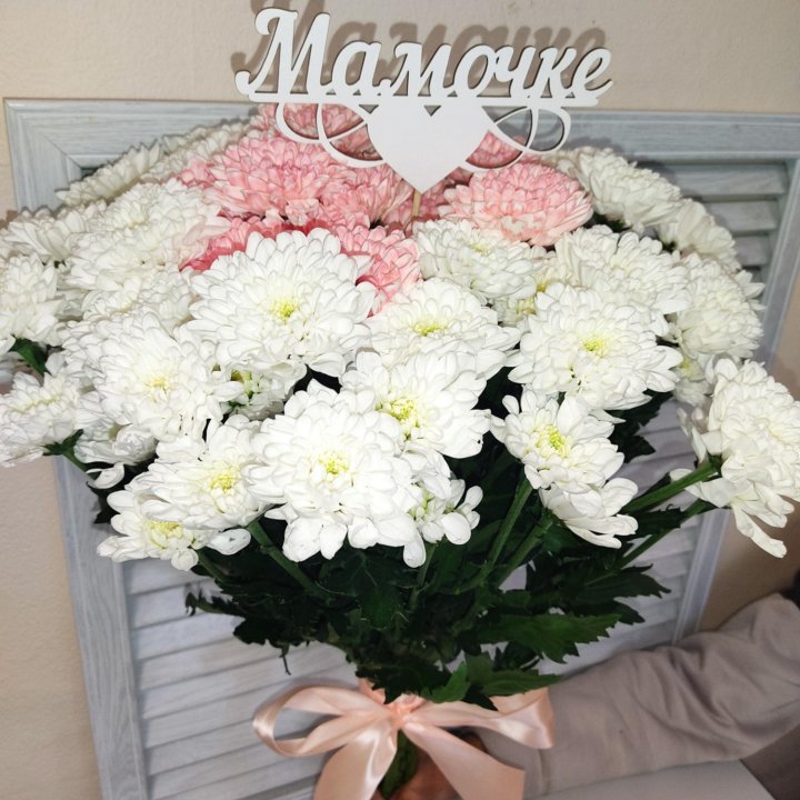 Хризантемы