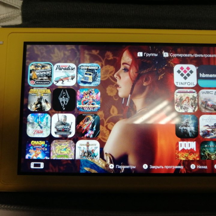 Nintendo switch lite