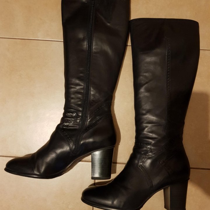 Сапоги TJ Collection