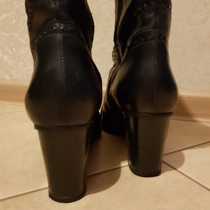 Сапоги TJ Collection