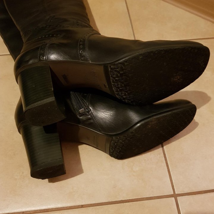 Сапоги TJ Collection