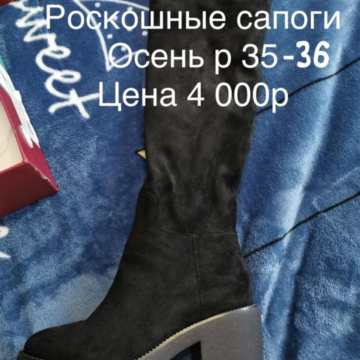 Сапоги