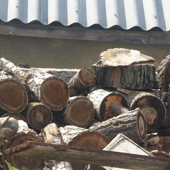 Дрова разные.