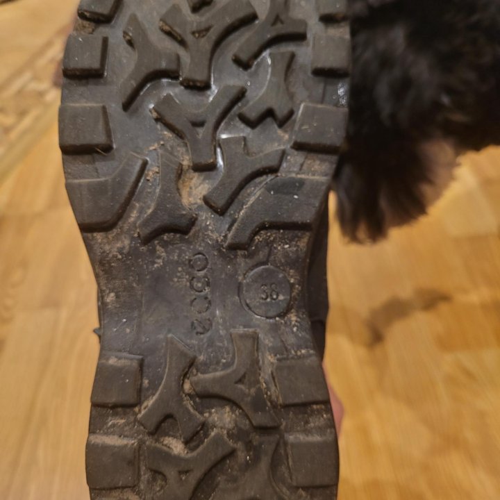 Зимние ботинки Ecco