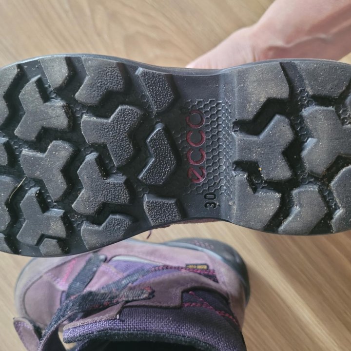 Зимние бтинки Ecco