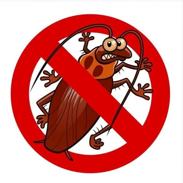 Уничтожение насекомых тараканов клопов дезинсекция