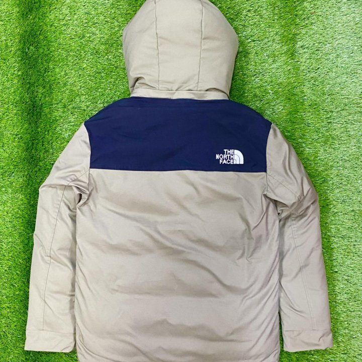 The North Face Куртка Зимняя Пуховик Норф Фэйс