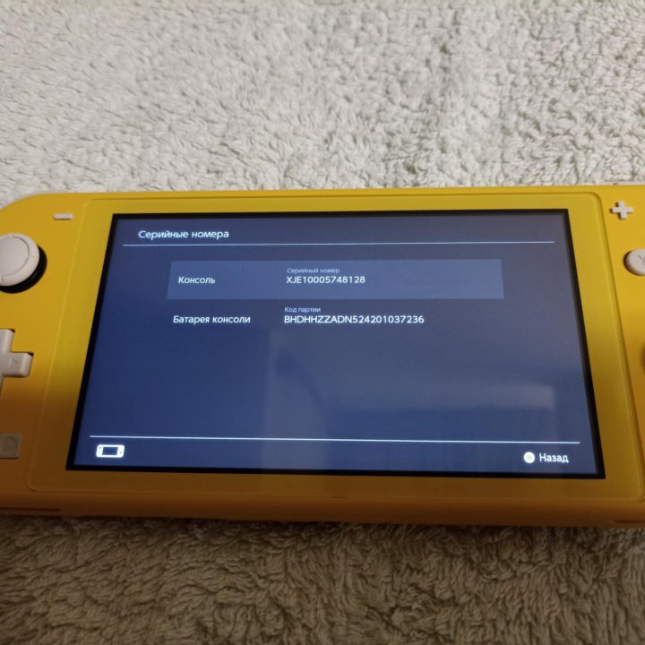 Nintendo Switch Lite