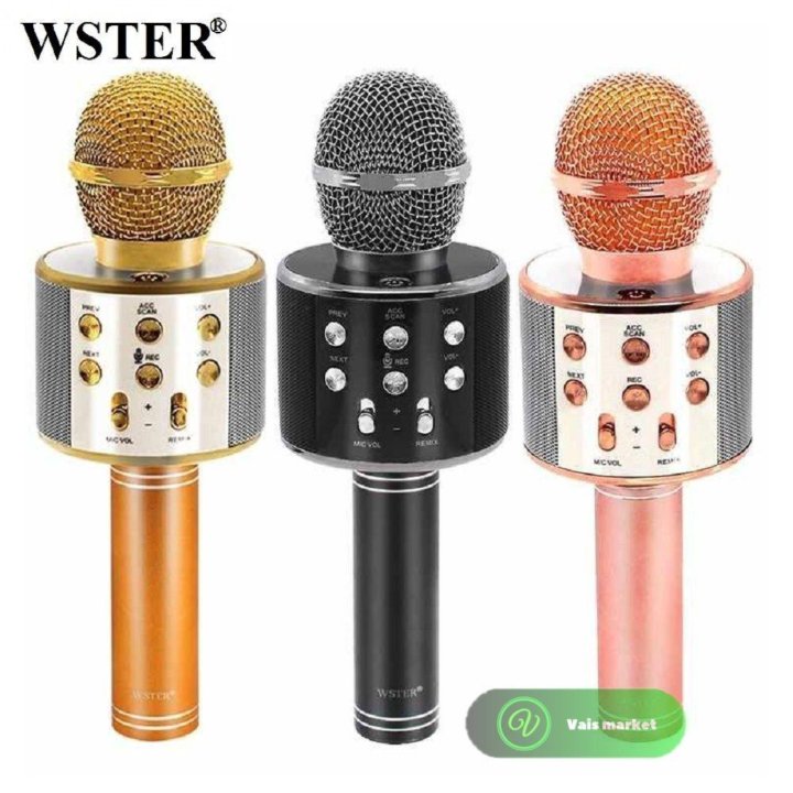 Микрофон Wster 858