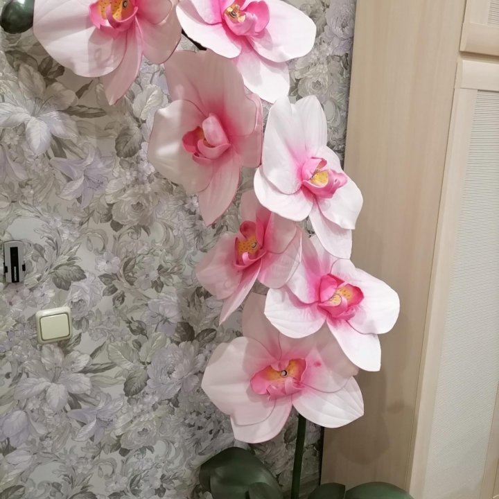 Орхидея ростовая из изолона