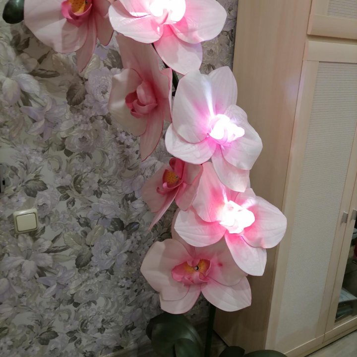 Орхидея ростовая из изолона