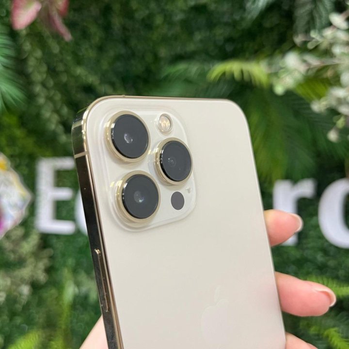 iPhone 13 Pro Max 512Gb