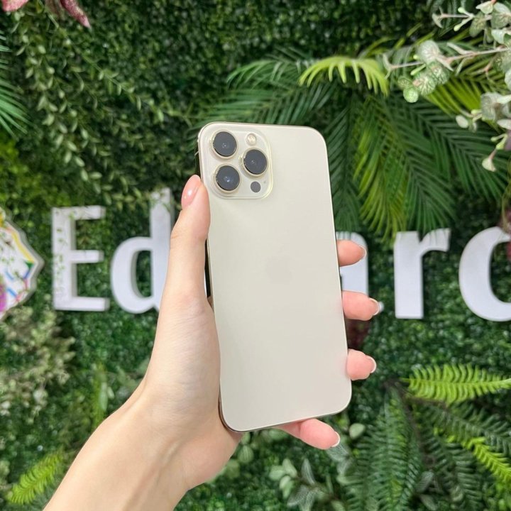 iPhone 13 Pro Max 512Gb