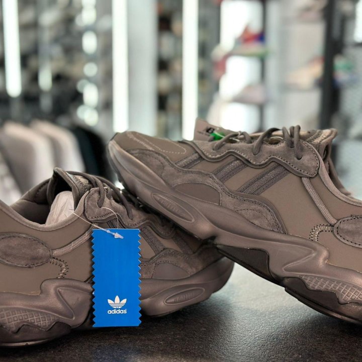 Кроссовки Зимние Adidas Ozweego