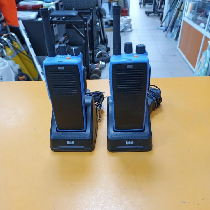 Рации Entel DT582 PMR