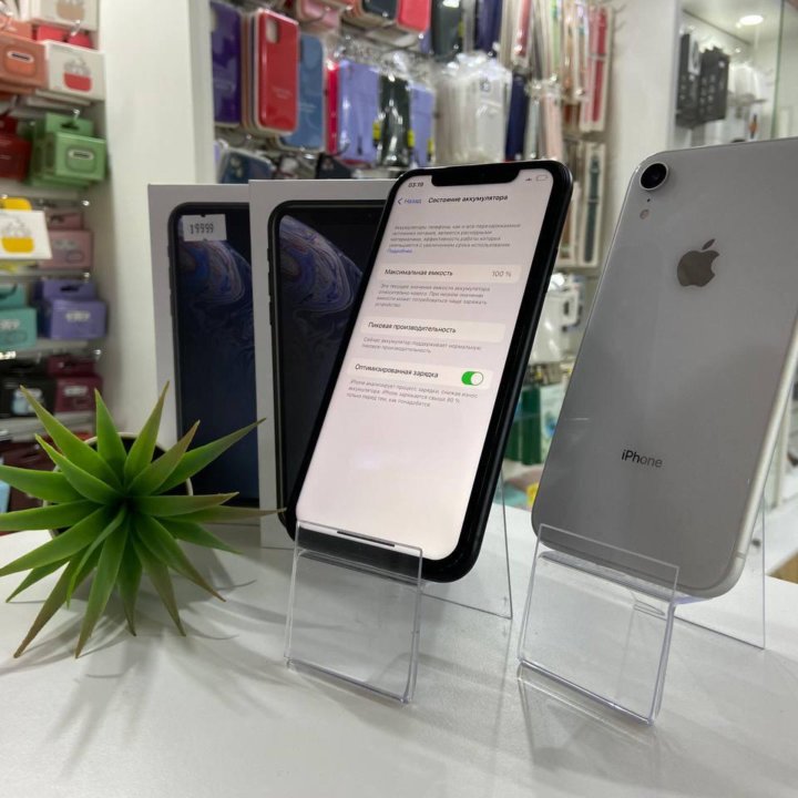 iPhone XR 128 GB (гарантия)