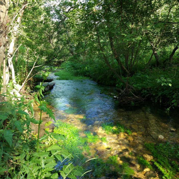 Мёд башкирский