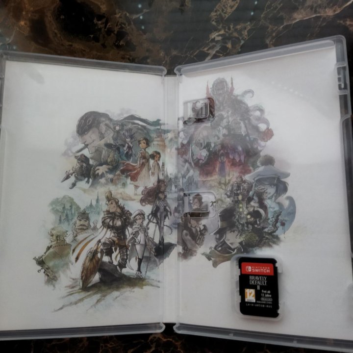 Nintendo switch+ bravely default 2
