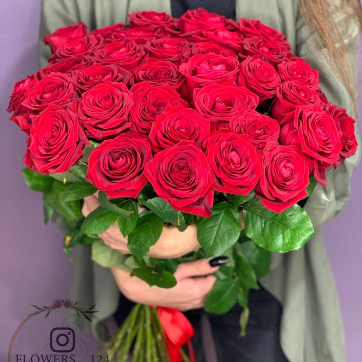 Розы опт красные от “Flowers124”