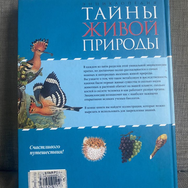 Энциклопедия «Тайны живой природы»