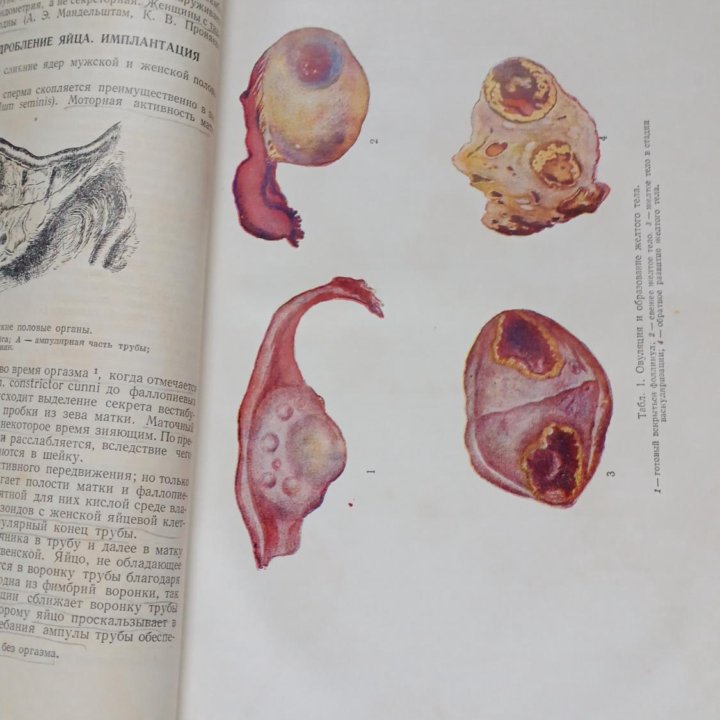Книга Акушерство А.И.Петченко1955г