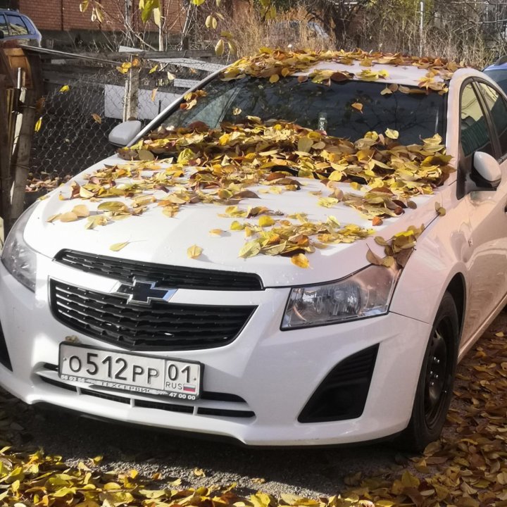 Chevrolet Cruze, 2013