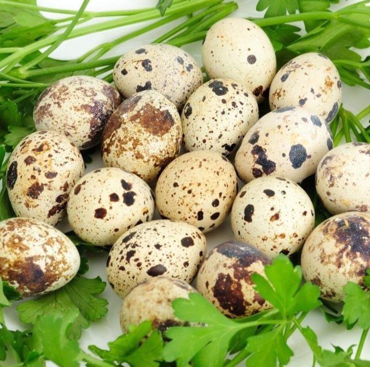 Перепелиные яйца