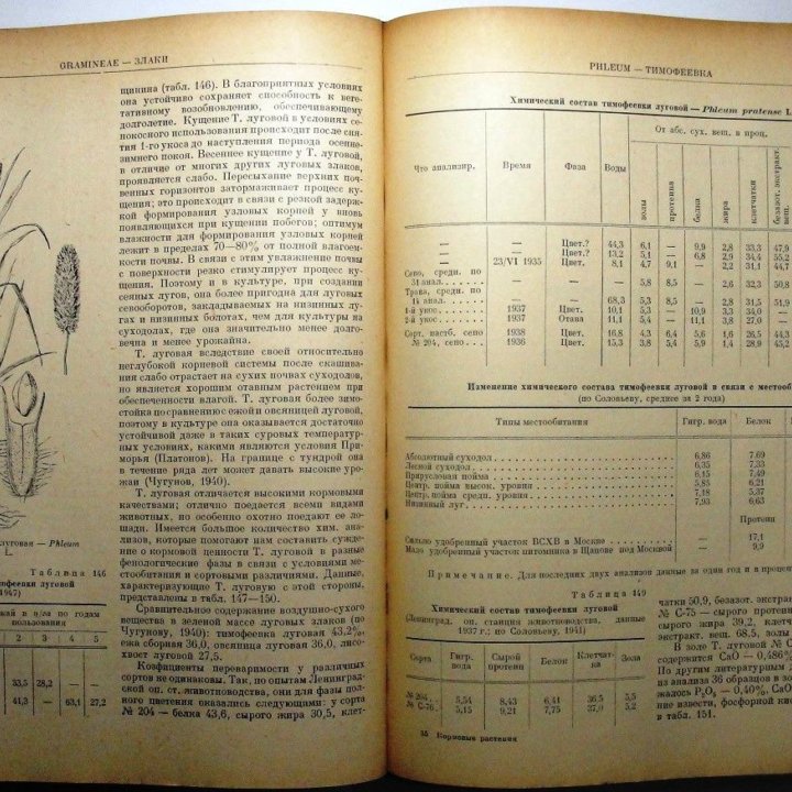 Растения сенокосов и пастбищ. 1950-1951 гг.