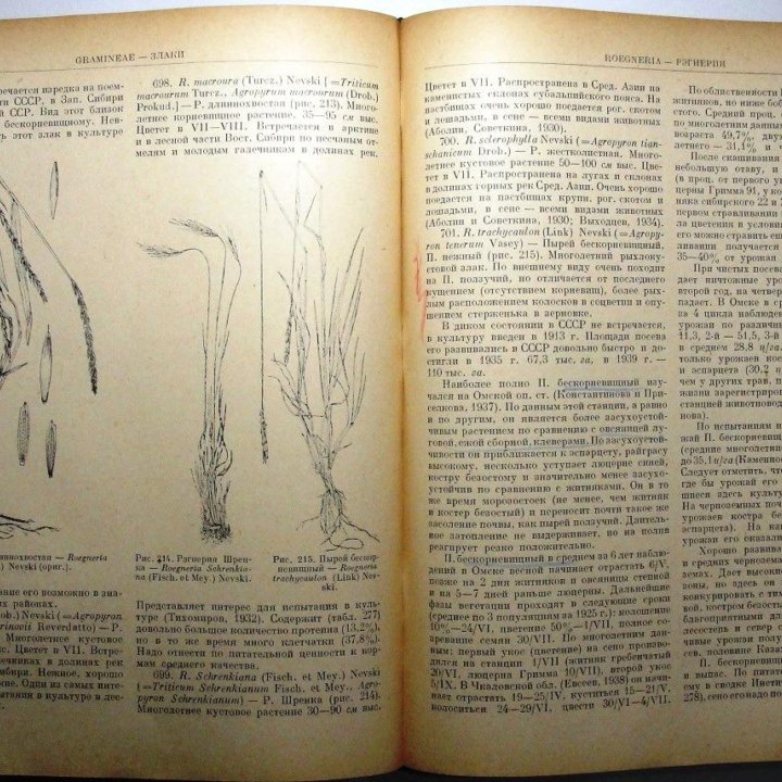 Растения сенокосов и пастбищ. 1950-1951 гг.