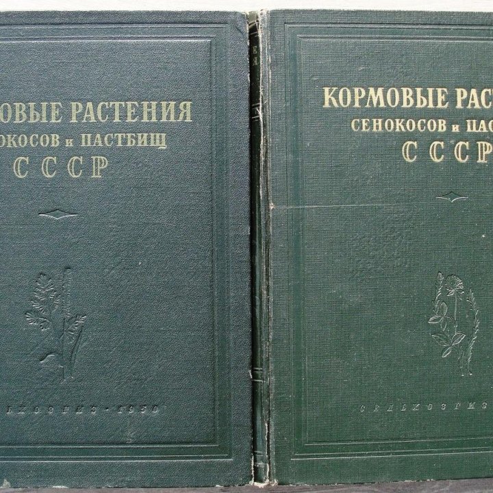 Растения сенокосов и пастбищ. 1950-1951 гг.