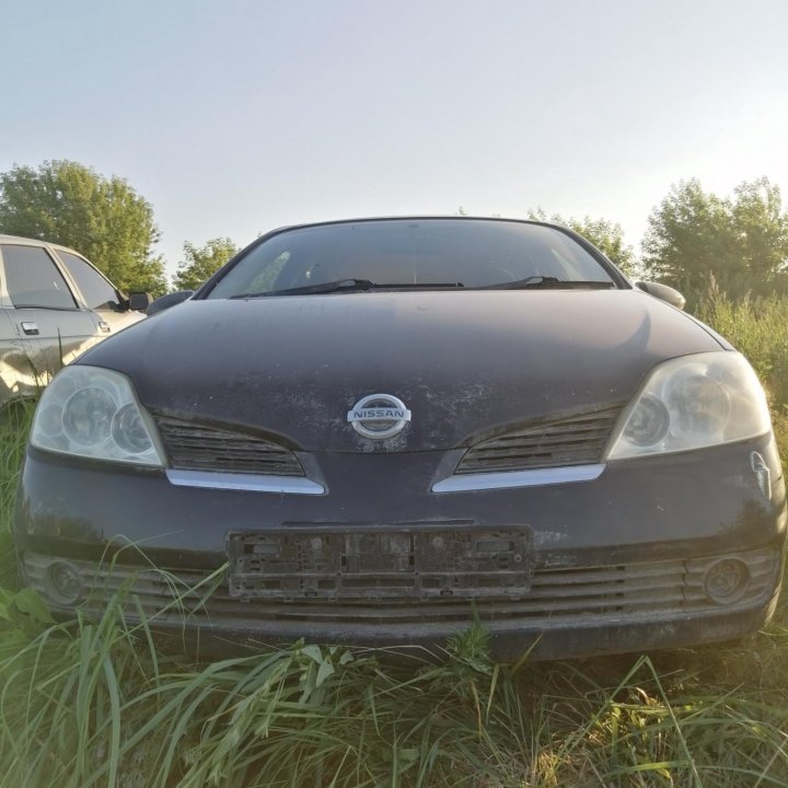 Nissan primera p12 в разборе