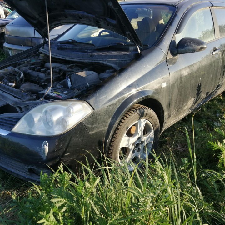 Nissan primera p12 в разборе