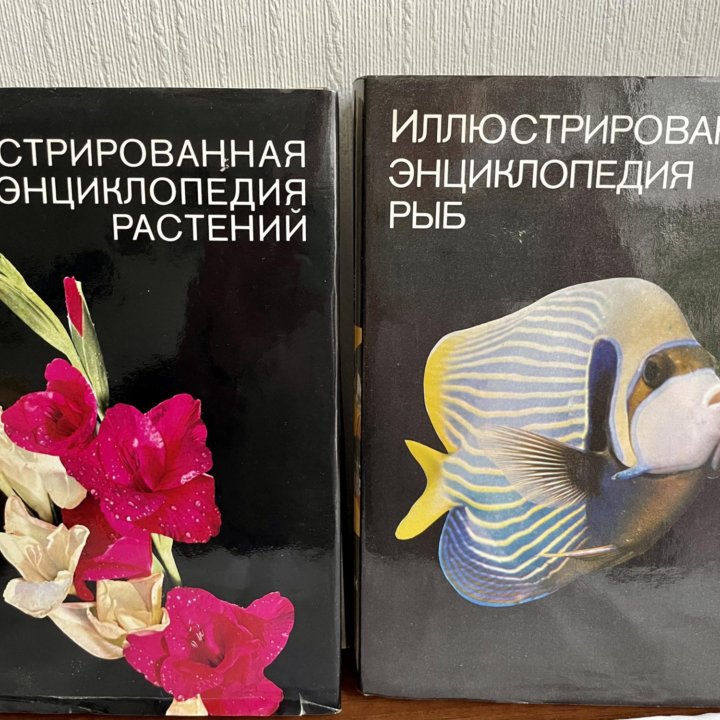 Книги: энциклопедии, справочники, худ. лит.