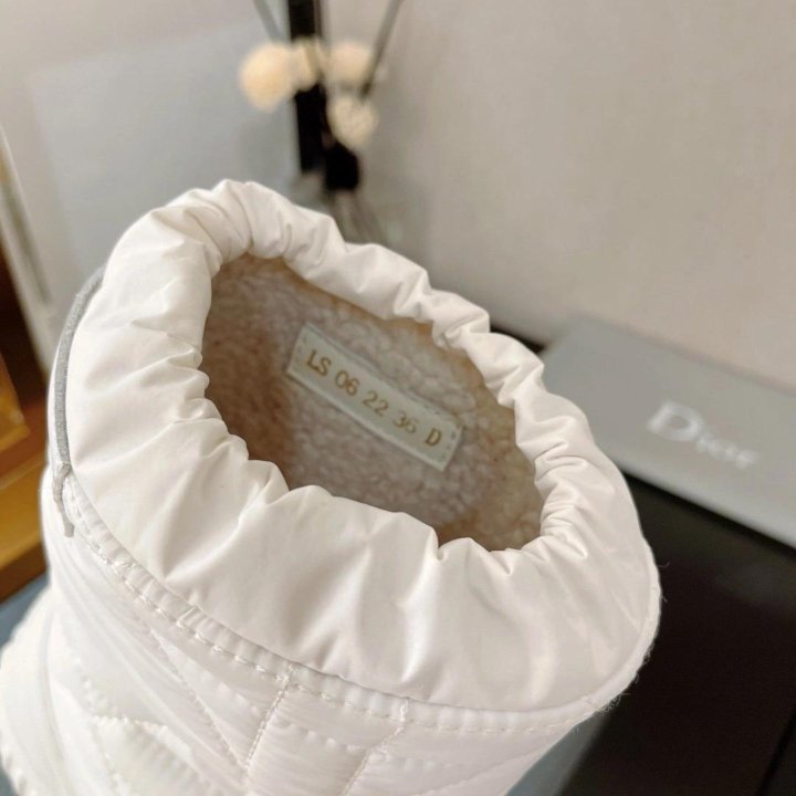 Сапоги Dior????