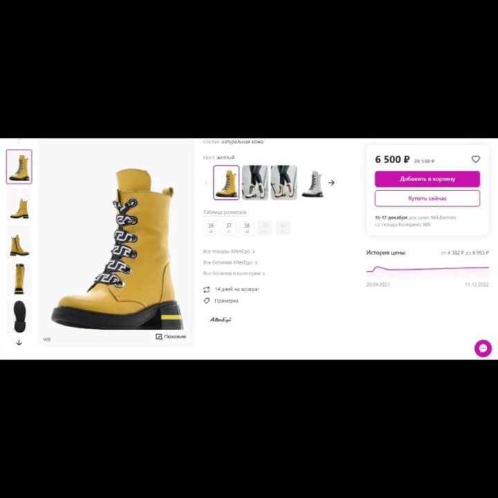 Ботинки AlterEgo