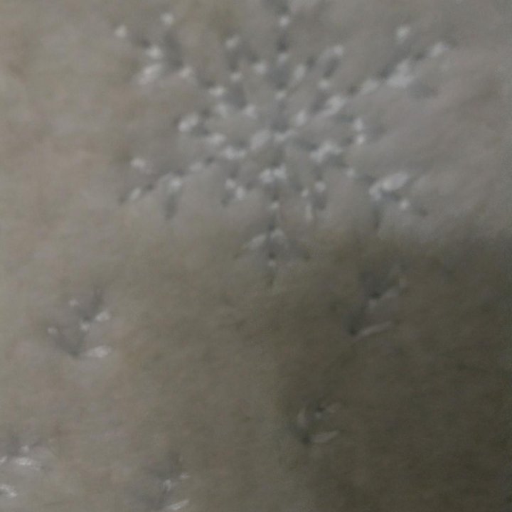 Войлочные сапоги