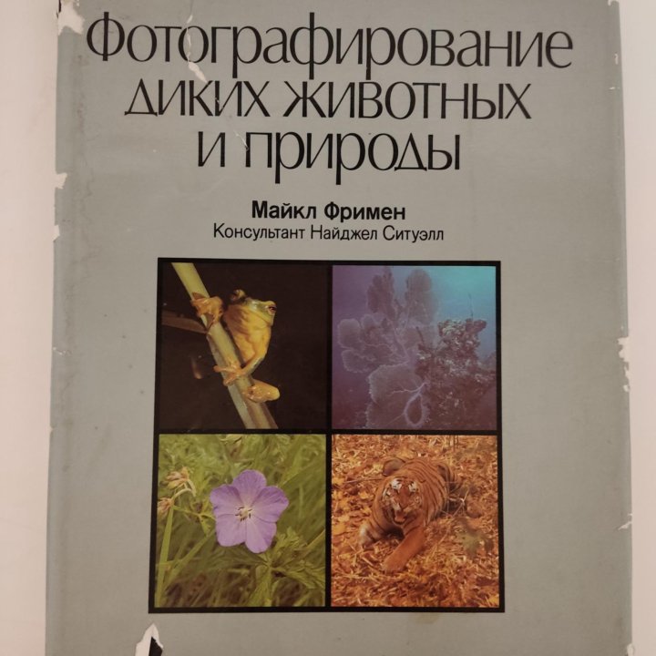 Книги Сандро Боттичелли, Живопись,Фотографирование