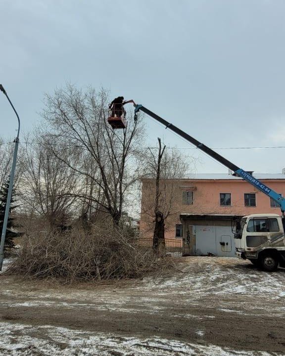 Спил и обрезка деревьев