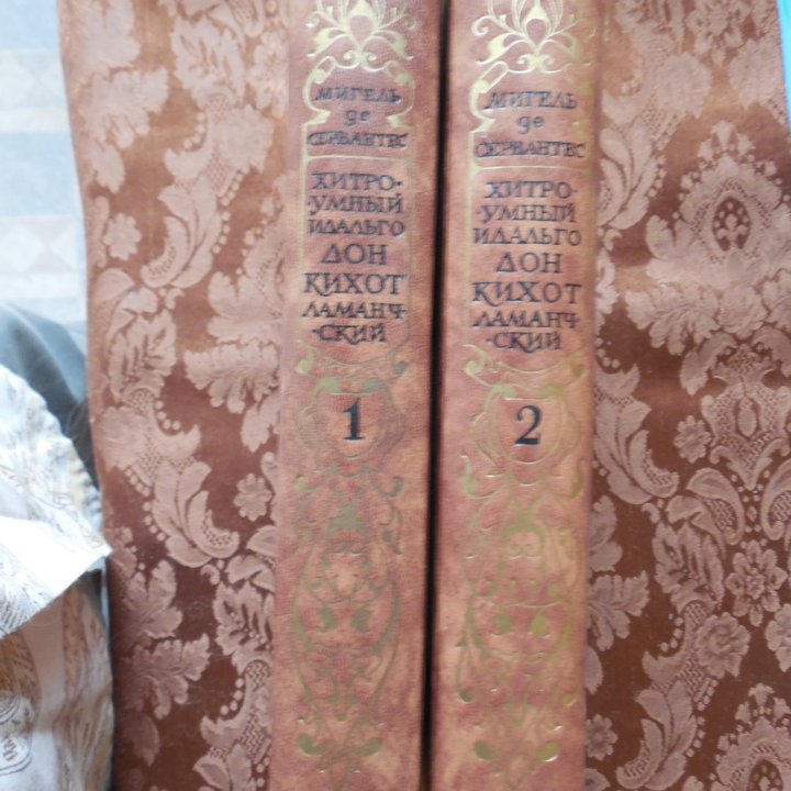 Хитроумный идальго Дон Кихот Ламанческий. 2 тома