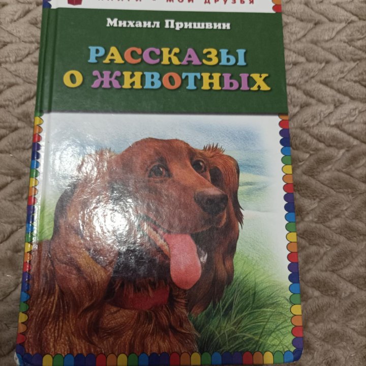 Книга